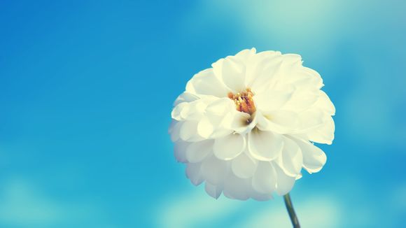 双肩包结怎么结