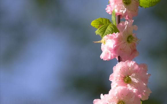 efocus帽子怎么样