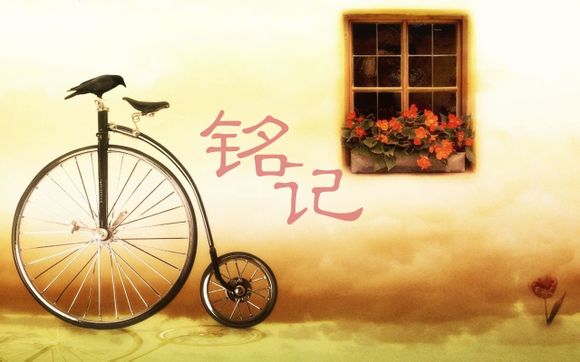 冰丝和天丝有什么区别
